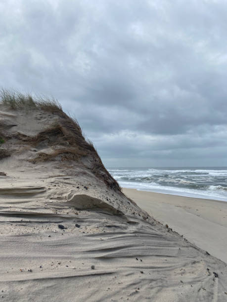 istock dunes and the ocean 2187982290