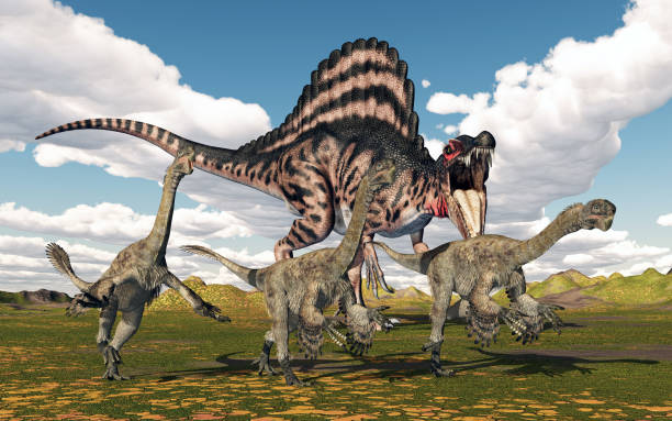 istock Dinosaur Spinosaurus attacking the dinosaur Citipati 2187987121