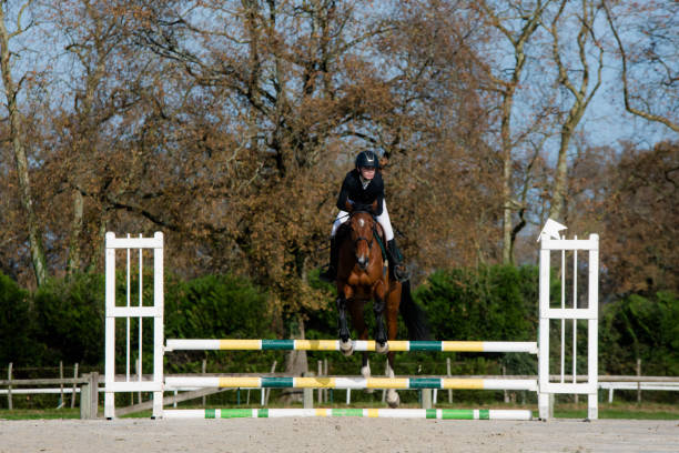 istock Beautiful young rider on her mare with her protective vest during a show jumping competition 2187989435
