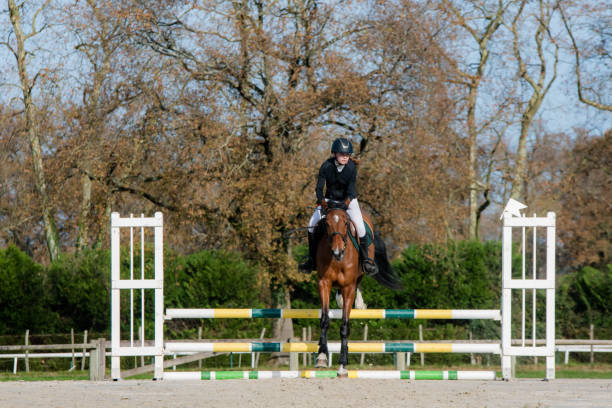 istock Beautiful young rider on her mare with her protective vest during a show jumping competition 2187989447