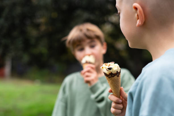 istock Two boys eating ice cream cones in a park on a sunny day 2187995988