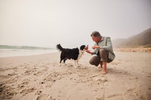 Active mature man holding ball on beach with dog