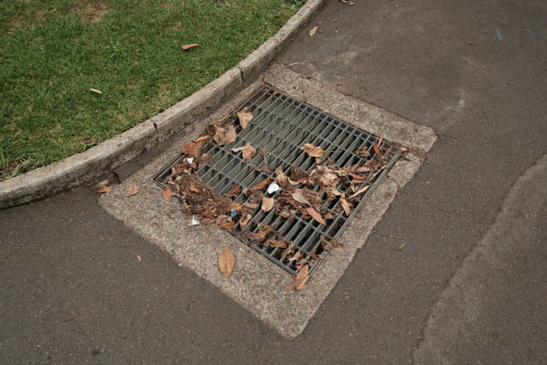 Drain in a pedestrian walkway becoming blocked with leaves.
