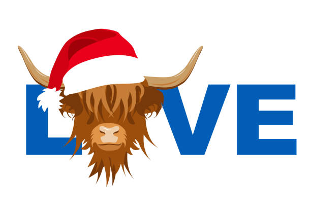 Love Word with Portrait of Highland cattle, Merry Christmas. Love Word with Portrait of Highland cattle, Merry Christmas, Cute Head of Scottish Cattle with Christmas Hat, Scottish sign. Design element for log, card, banner, emblem, t shirt. Vector illustration. british beef cow stock illustrations