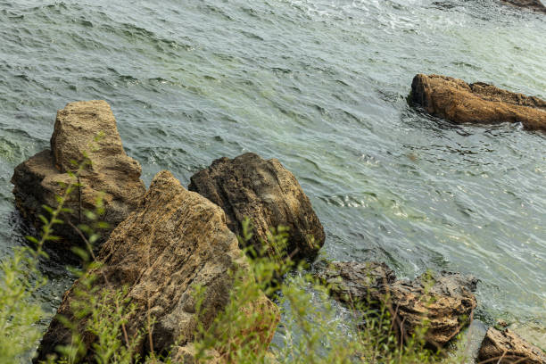 Natural landscape, stones, grass and water. Summer.