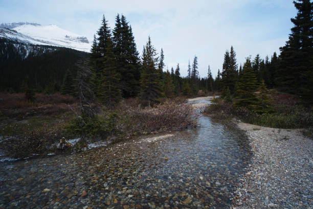 Photo of a mountain landscape in Canada, North America.