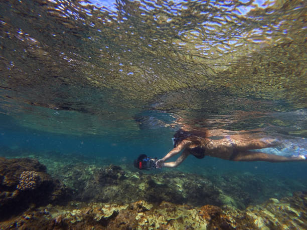 istock Snorkeling over Hawaiian Coral Reef 2188023530