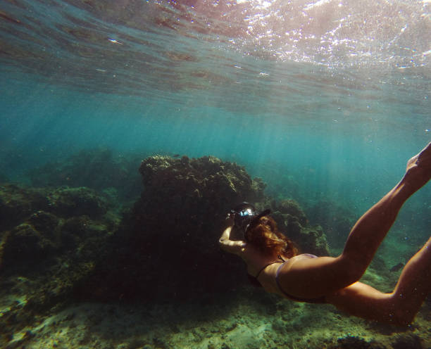 istock Snorkeling over Hawaiian Coral Reef 2188023546