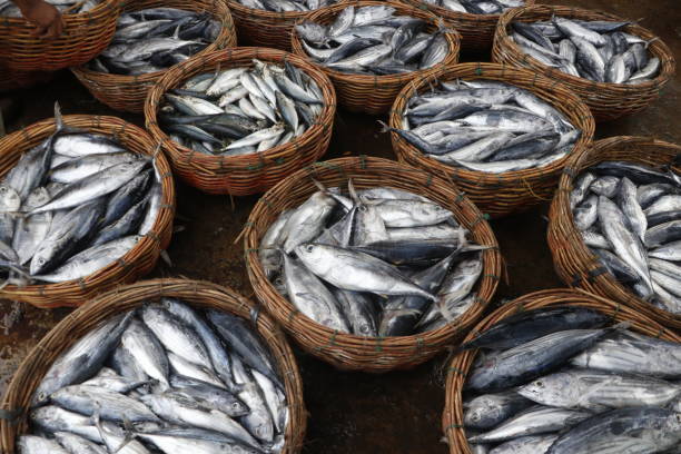 istock Fish in basket at market 2188023700
