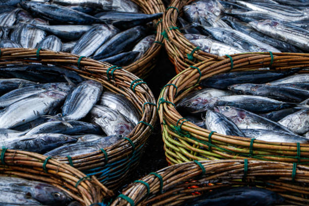 Indonesia, Aceh, Fish in a basket at the market.