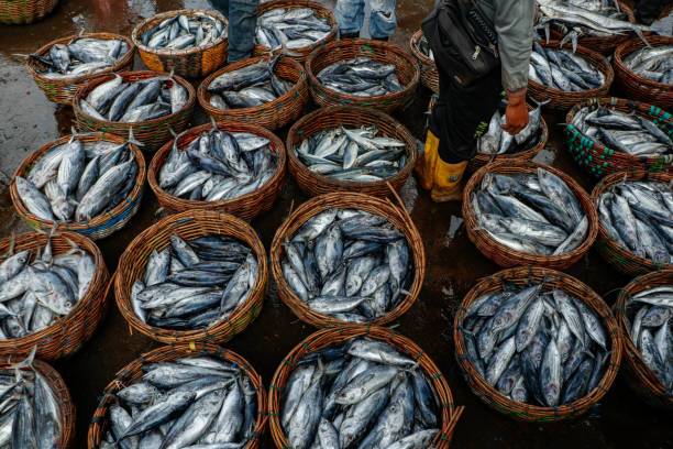 istock Fish in basket at market 2188023890