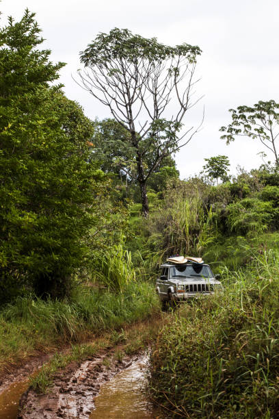 istock 4x4 with Surfboards in Dense Vegetation 2188025196