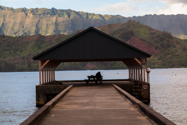 Shot of the Hanalei Bay pier and the beach around it, the sky and mountains further back. Taken in Kauai, Hawaii, during the day.