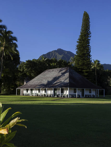 istock House and Hawaiian Trees 2188025630