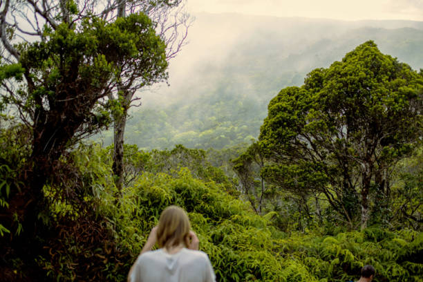 istock Hiking Hawaiian Mountains 2188025656