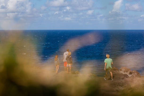 A successful person standing on the rocks at sunrise over the sea