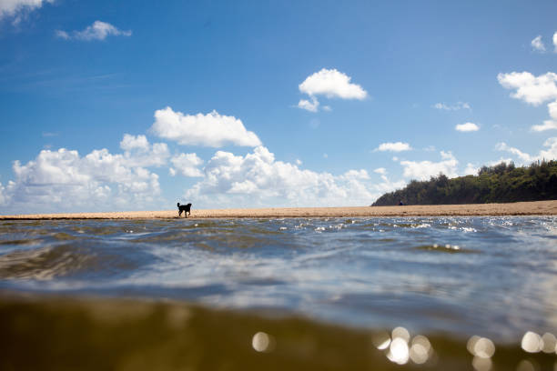 Vast shot of an Hawaiian beach from the water's perspective, cloudy sky behind.