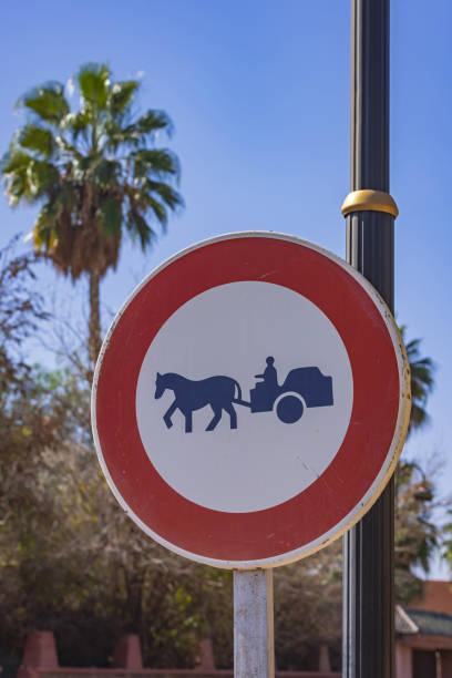 A close-up of a blue circular sign indicating a designated equestrian trail, mounted on a post with a forest background.