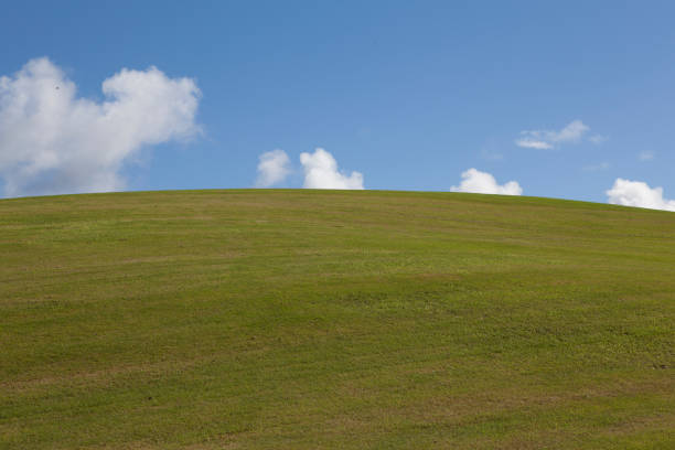 Shot of a spotless grass hill, cloudy sky behind. Taken in Kauai, Hawaii, during the day.