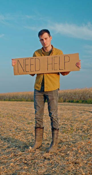 istock A young man stands in front of a cornfield, holding a sign that reads Need Help 2188029504