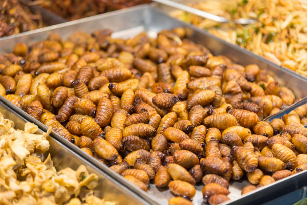 istock a lot of Beetle Fried Worms in tray 2188031206