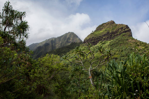 istock Mountainside of Napali Coast Trail, Deep Colors 2188031595