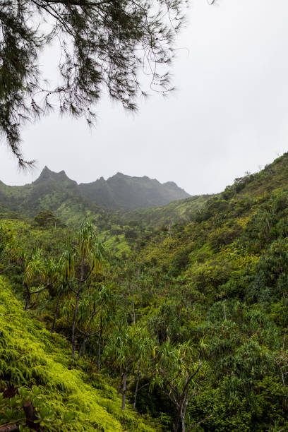 istock Mountainside of Napali Coast Trail, Deep Colors 2188031674