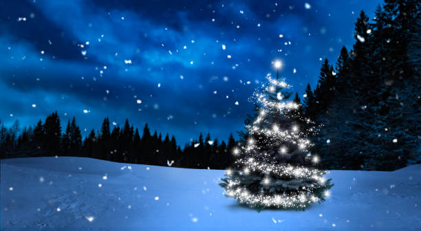 istock Shiny Christmas tree in a snowy winter forest 2188036196