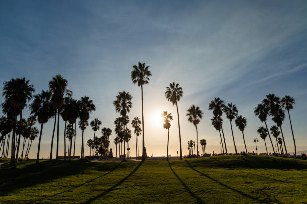 istock A mesmerizing view of Venice Beach at sunset 2188037437