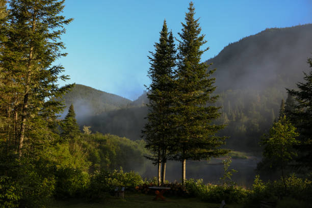 This daytime photo captures a classic backcountry campsite nestled in a forest clearing. At the center of the image sits a green and beige dome tent pitched on a flat area covered in pine needles and dirt. In the foreground is a primitive fire ring made of birch logs and rocks, with a metal cooking grate built into the fire pit. A large blue backpack leans against a tree to the left, indicating a hiker's temporary stop. Towering pine trees cast dappled sunlight across the scene. The surrounding forest is dense with green underbrush and small firs, reflecting a remote and peaceful wilderness setting.