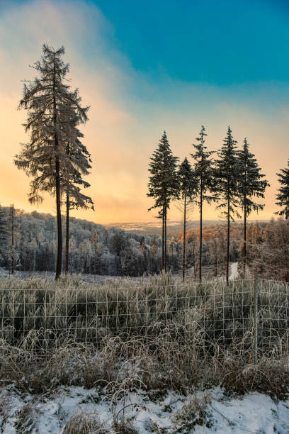 Landscape in the Taunus lightly covered in snow at sunset