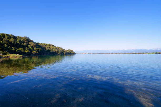 Diana pond in eastern plain of Corsica island