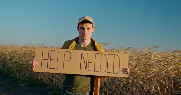 istock A man farmer standing in a field holding a cardboard sign that reads HELP NEEDED. 2188041150