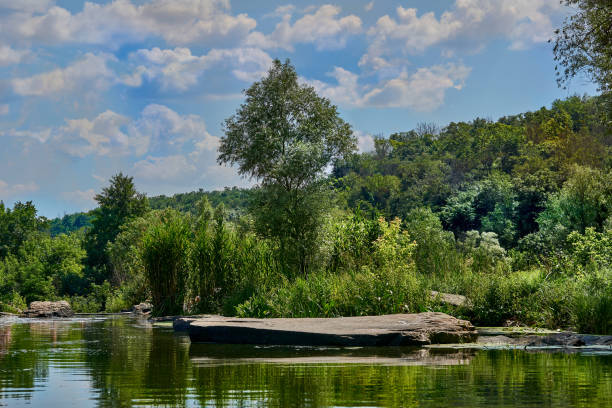 a large natural stream of water flowing in a channel to the sea, a lake, or another such stream