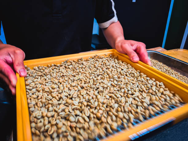 Sort Beans 10+ Sorter Trays Stock Photos, Pictures & Royalty-Free Images - iStock