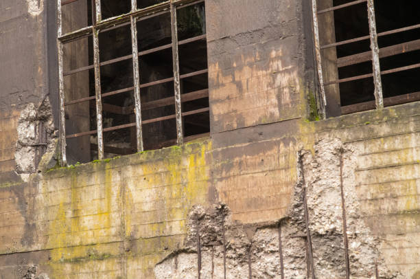 Crumbling concrete wall showing rusty metal bars and moss growing in an abandoned building, highlighting decay and neglect