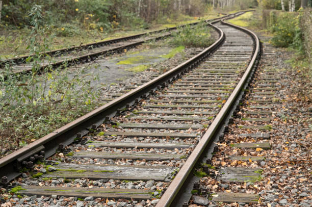 istock Old rusty train tracks disappearing into the forest in autumn 2188051349
