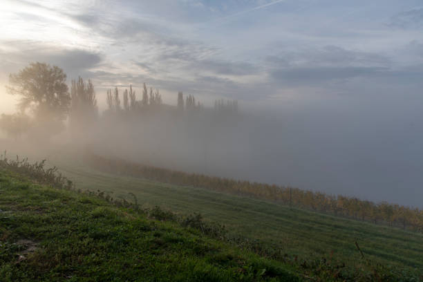 Idyllic view of Green Terraced Field and Mountains on Lush Lands on autumn foggy morning