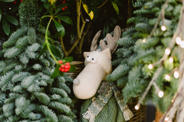 istock A white deer is standing in a bush with red berries 2188052612