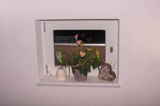 istock Window on a white wall with home plant 2188053527