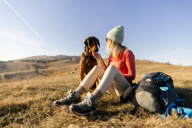 Woman and her dog, taking a break from hiking in the mountains, They are sitting on the ground, the woman is petting the dog, they are enjoying the warm autumn sun.