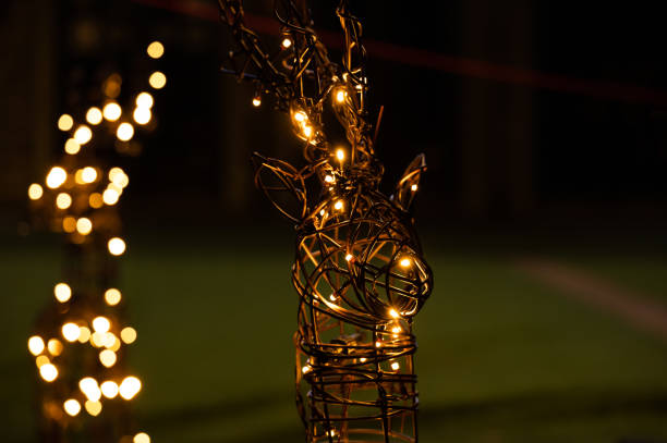 A close-up of an illuminated wire reindeer adorned with glowing string lights. The background features blurred festive lights, adding depth and a magical holiday ambiance.