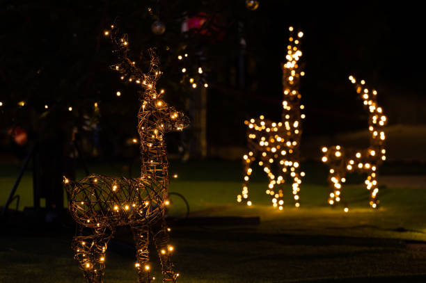 istock Illuminated reindeer with glowing Christmas lights 2188056170