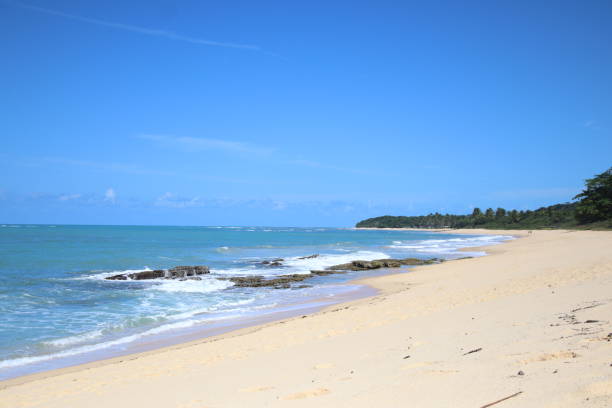 istock Serene Tropical Beach: Turquoise Waters and Golden Sand 2188057627