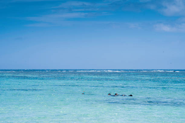 Amami Oshima Kuninao Coast Beach