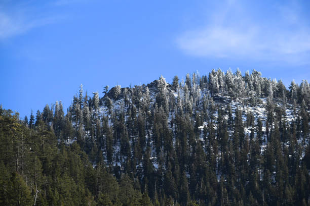 istock Landscape of a mountain with a snow dusted forest and blue sky background 2188059486