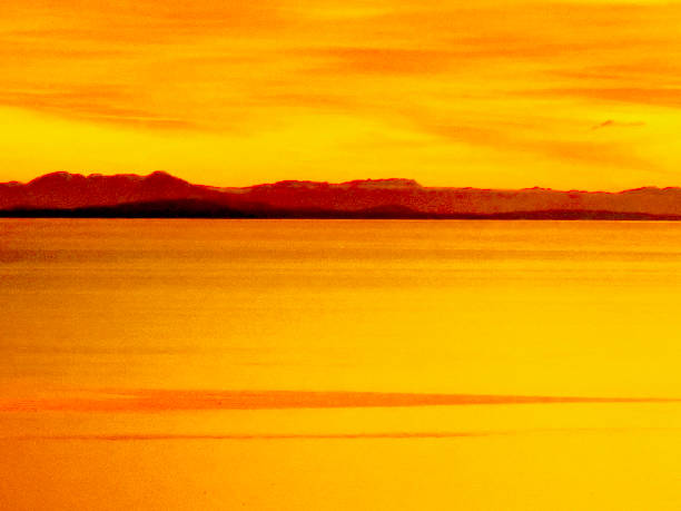 istock Yellow Golden Nature Background 2188061368
