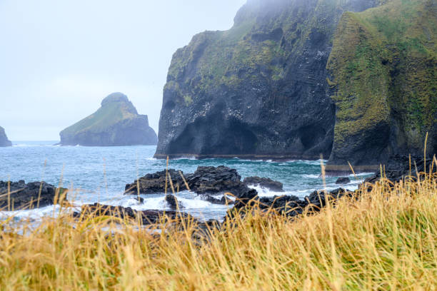 Volcanic cliff and seashore on the Westman Islands in Iceland, with Elephant Rock.