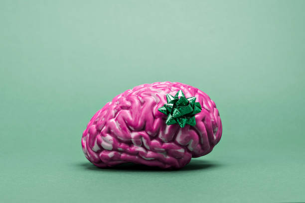 istock A bright pink brain with a green bow on a soft green background. Symbol of intelligence as a gift, combining creativity and surrealism in one shot. 2188072695