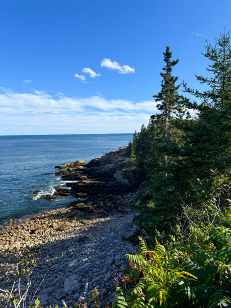 istock National Park Maine Lake Coastline Forest 2188072869